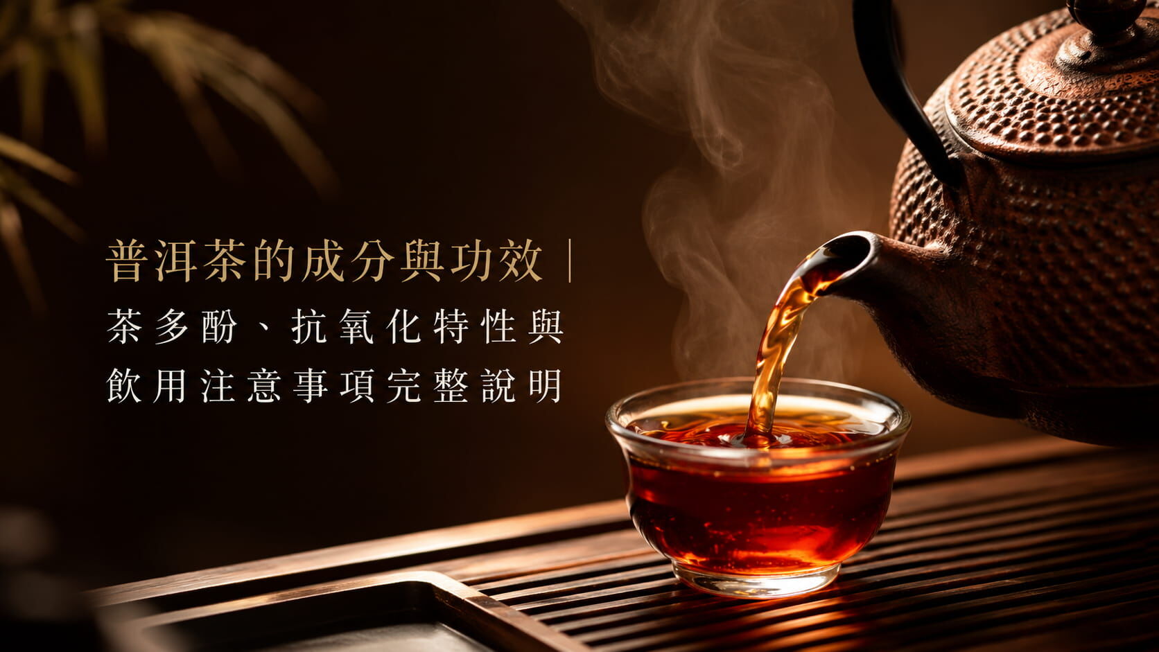 普洱茶完整指南｜功效、生熟差異、泡法與禁忌