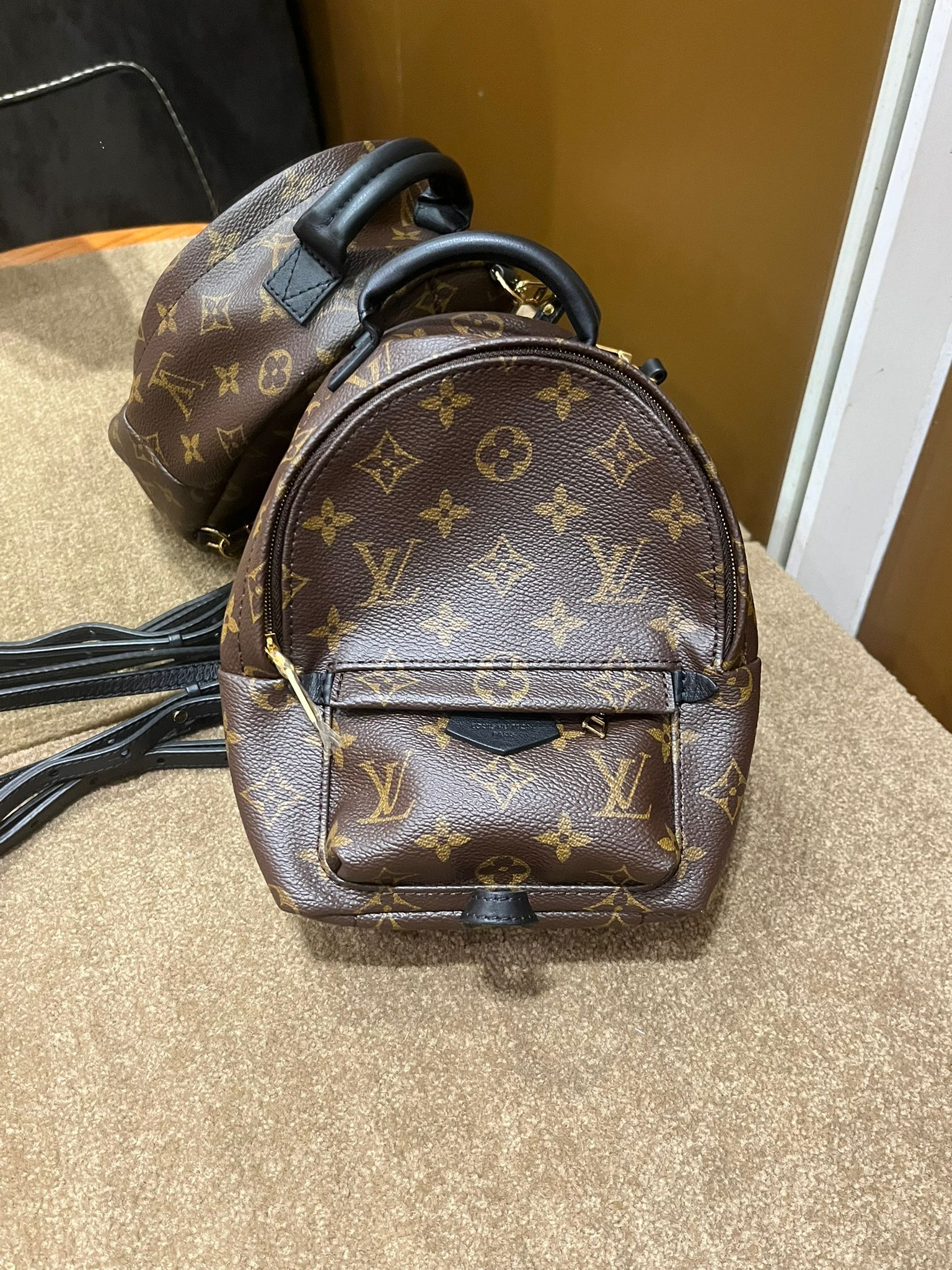 Louis Vuitton Palm Springs Mini （二手97%new）