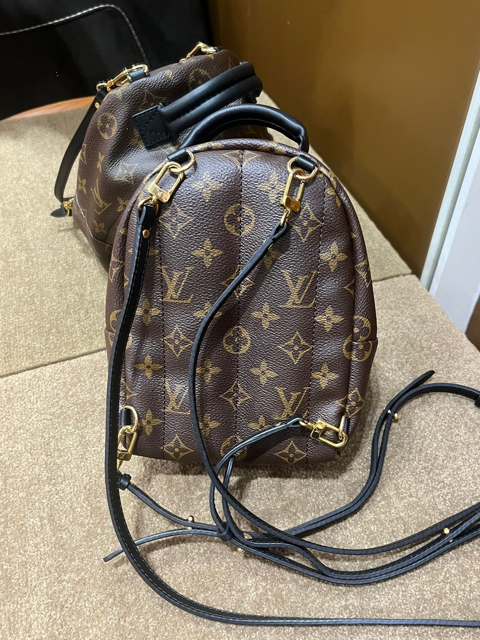 Louis Vuitton Palm Springs Mini （二手97%new）