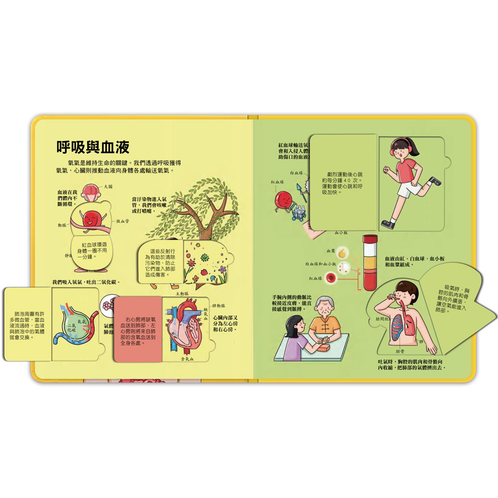 百問百答圖解翻翻書-揭祕身體