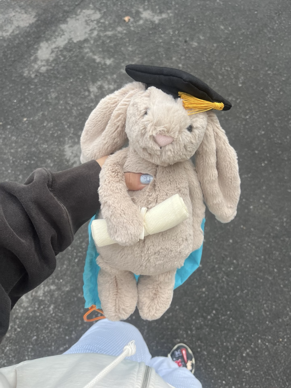 （預購）Jellycat Bashful Bunny 畢業兔兔 毛絨公仔