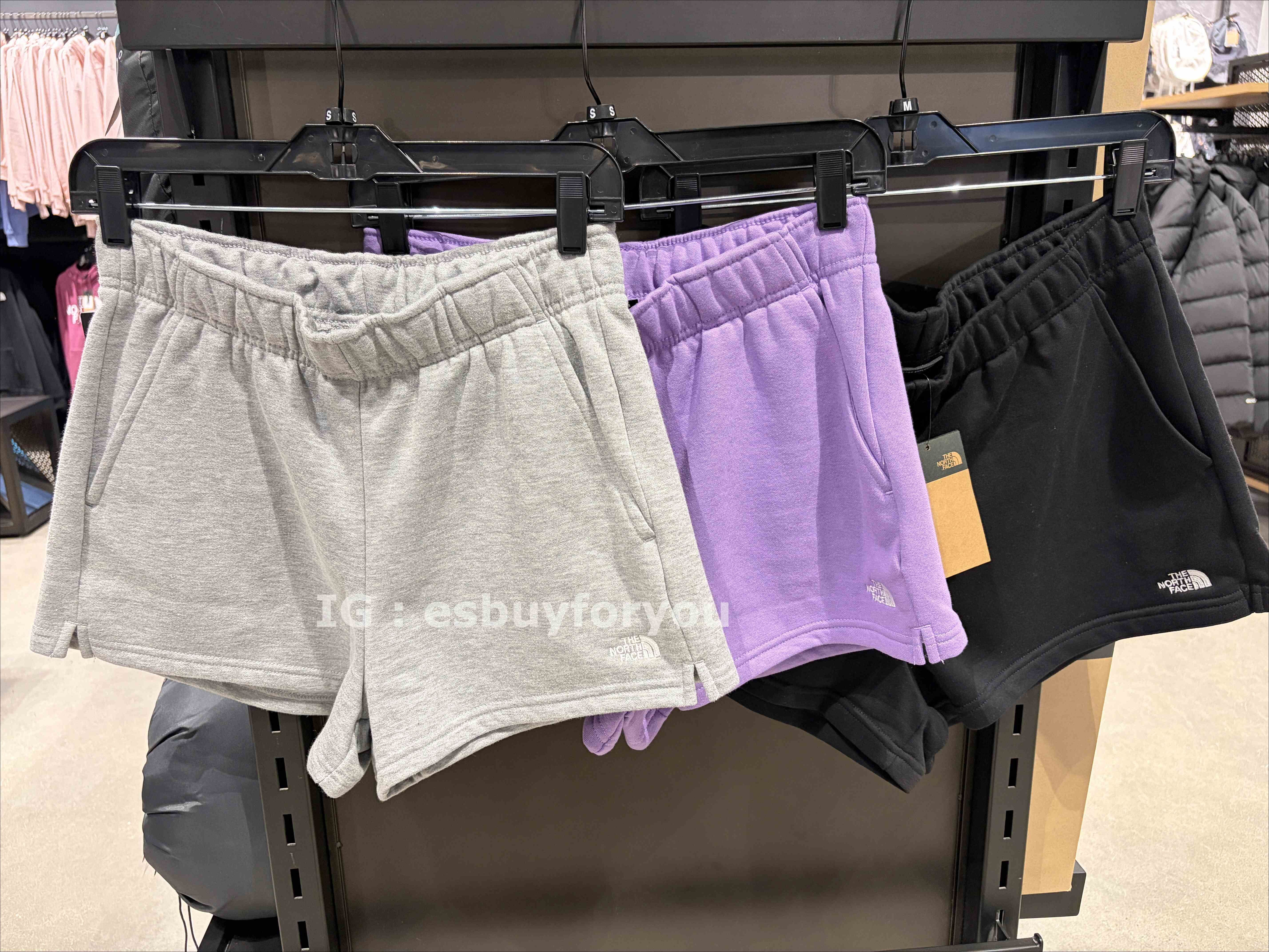 THE NORTH FACE 女大人 經典刺繡小標 棉短褲 (3色)