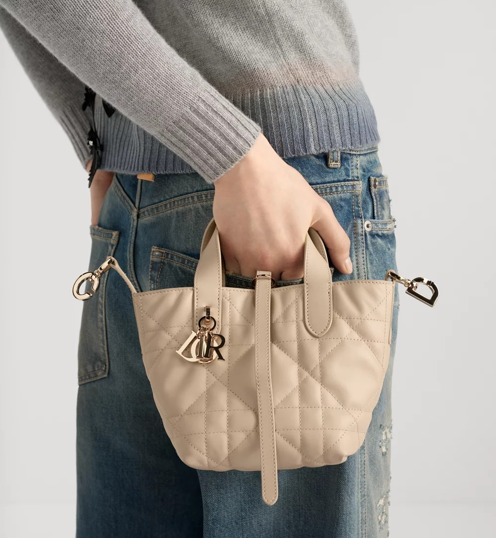 Dior Toujours Vertical Nano Tote Bag