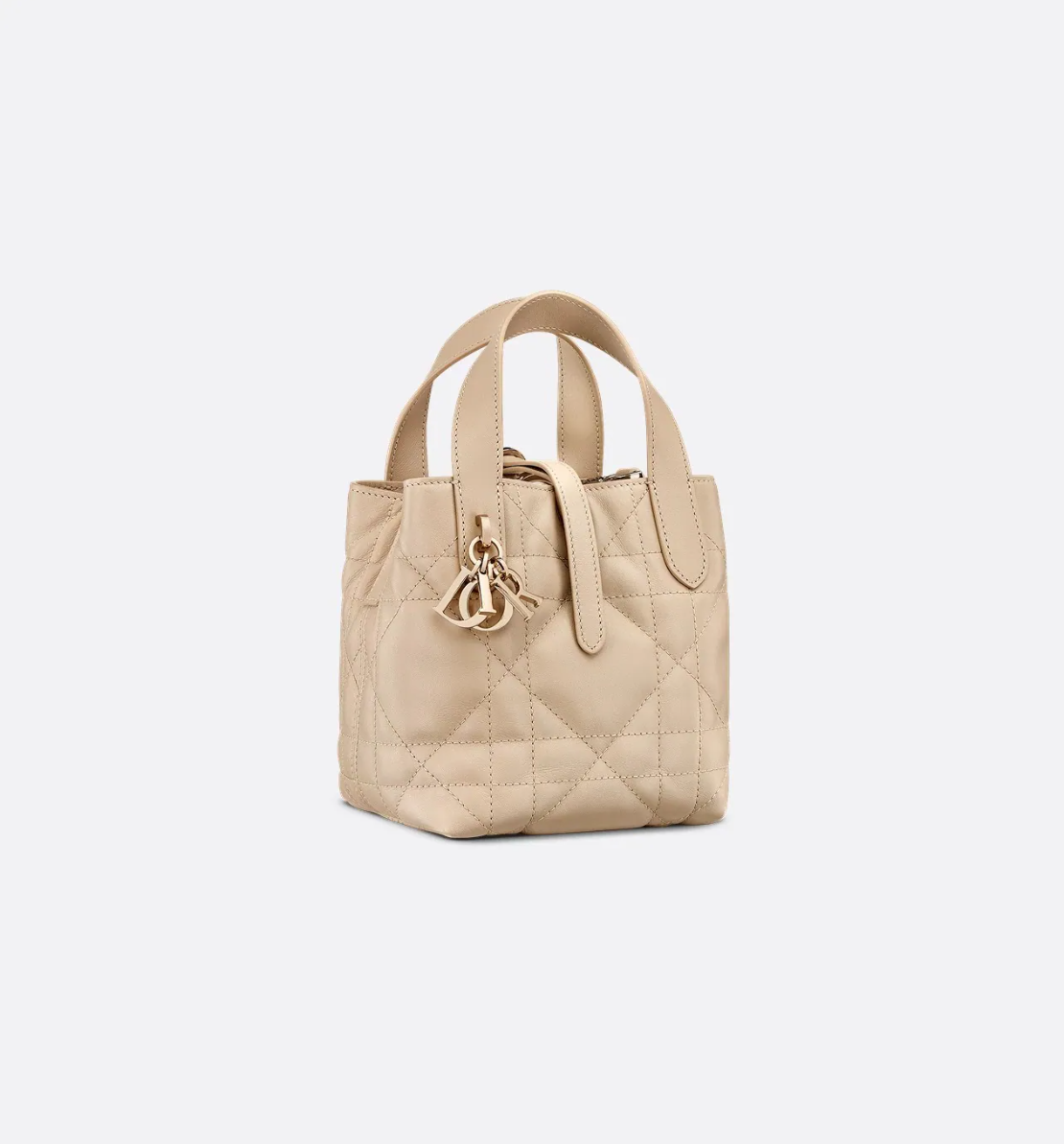 Dior Toujours Vertical Nano Tote Bag