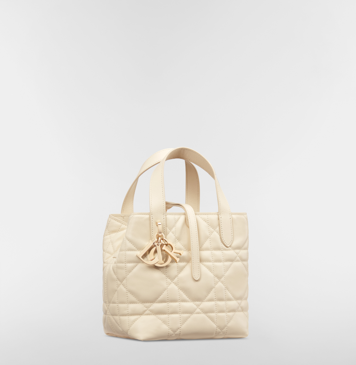 DIOR Small Dior Toujours Vertical Tote Bag