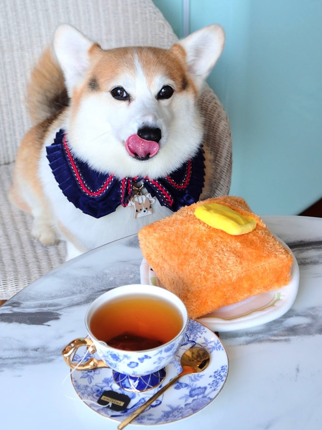 pp lab 西多士藏食玩具
