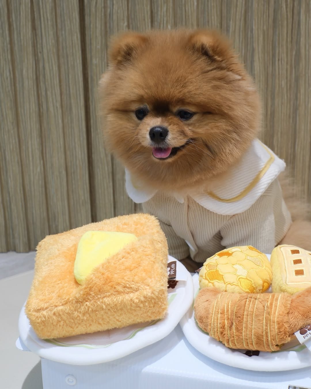 pp lab 西多士藏食玩具