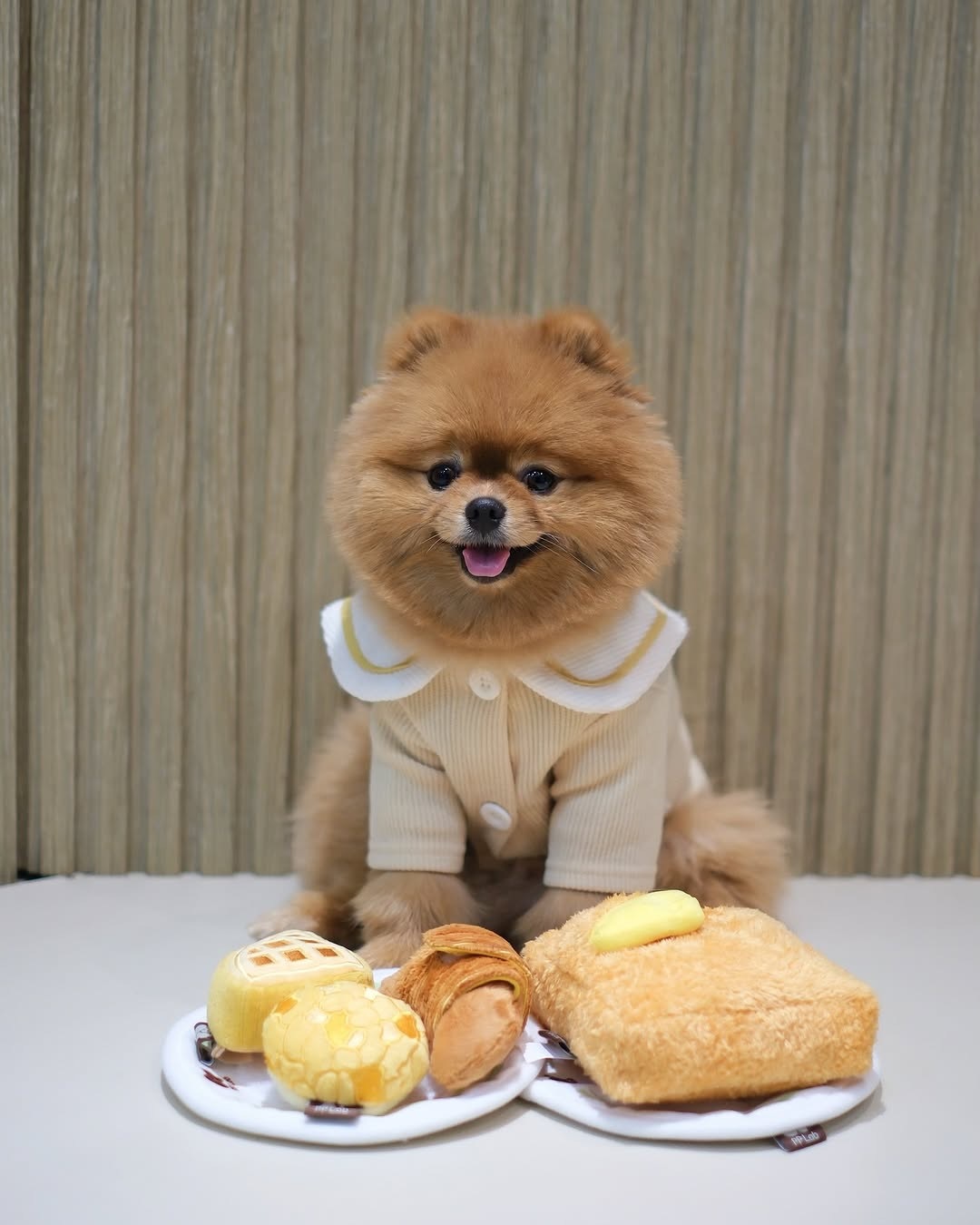 pp lab 西多士藏食玩具