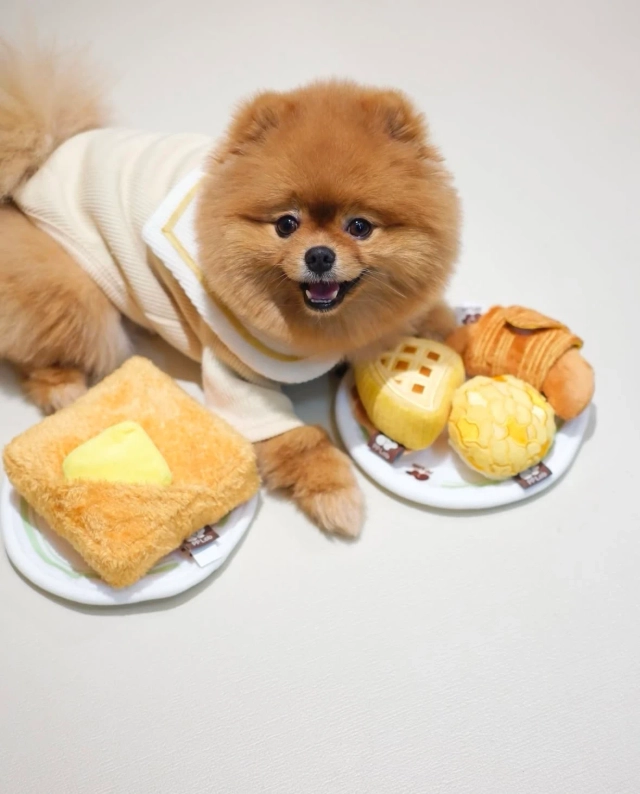pp lab 西多士藏食玩具