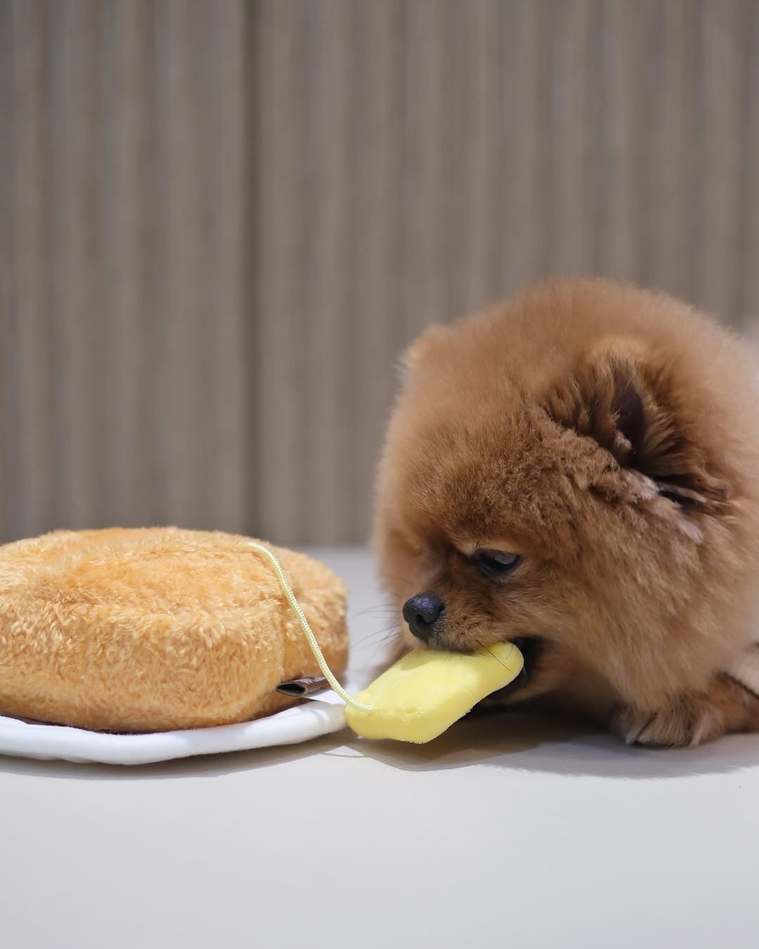 pp lab 西多士藏食玩具