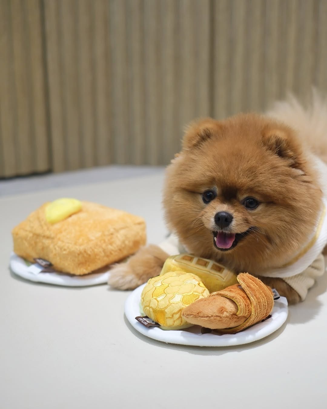 pp lab 西多士藏食玩具