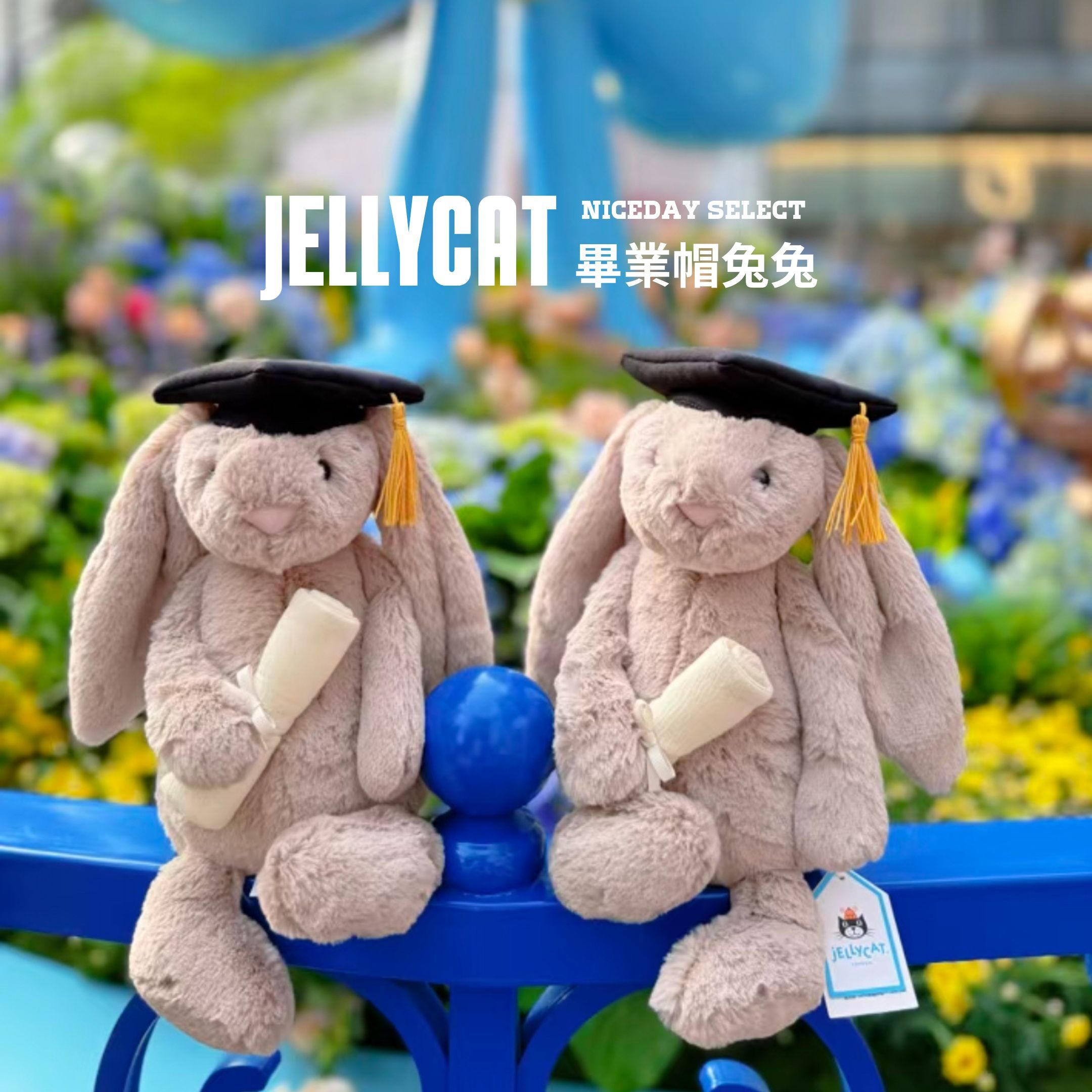 NICEDAY 代購 Jellycat 畢業兔子 動物 娃娃 毛絨玩偶