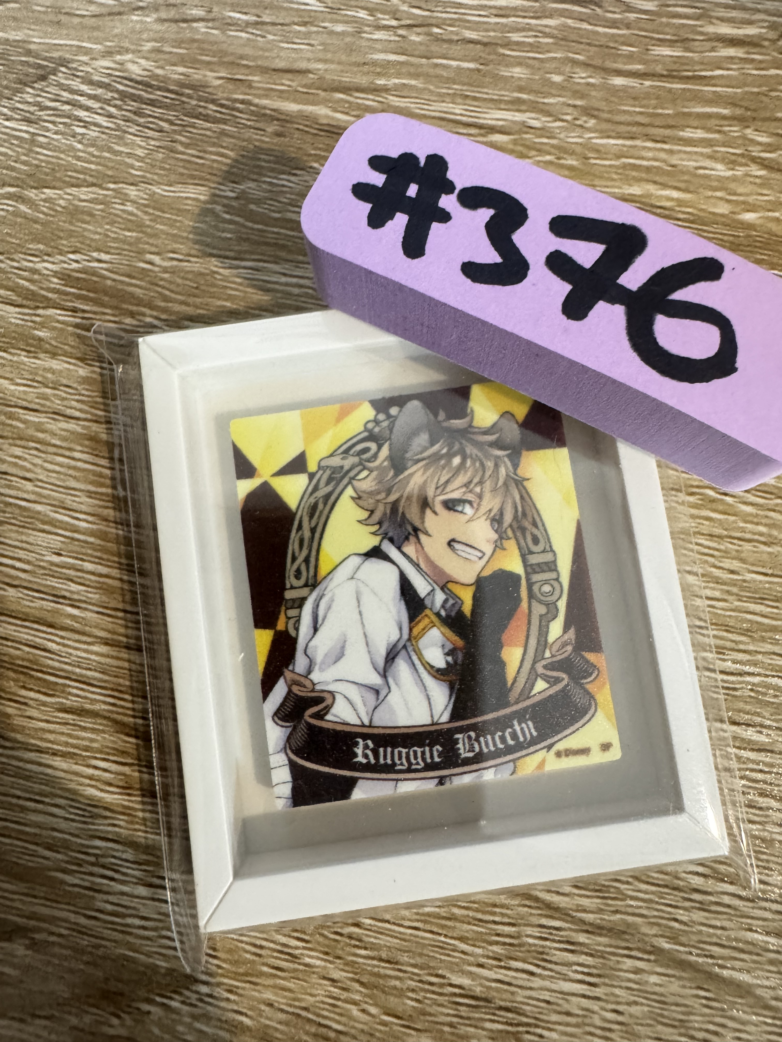 TWST RUGGIE 磁石#376