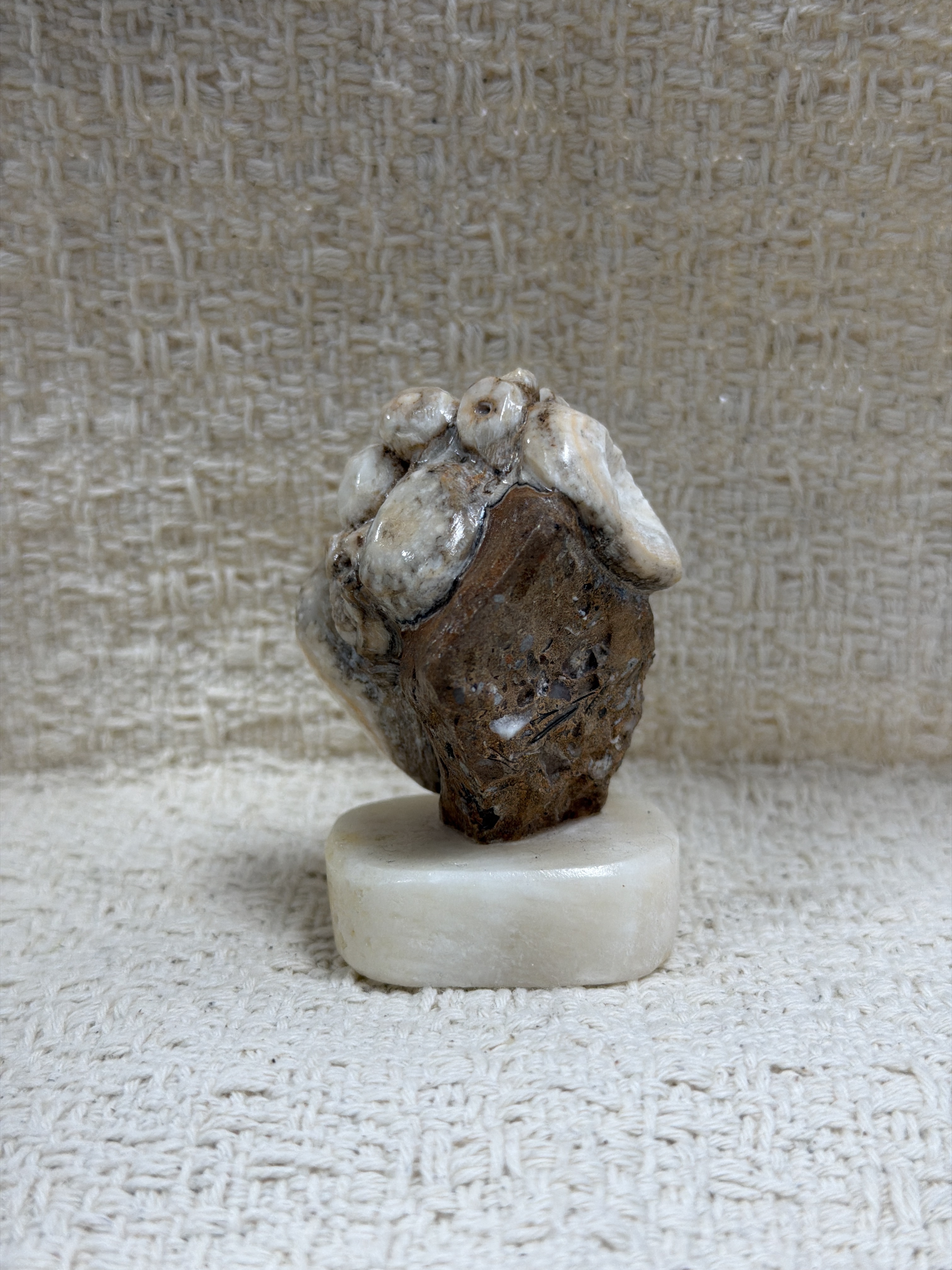 SS44 泰國尊者小立礦 約6.5CM