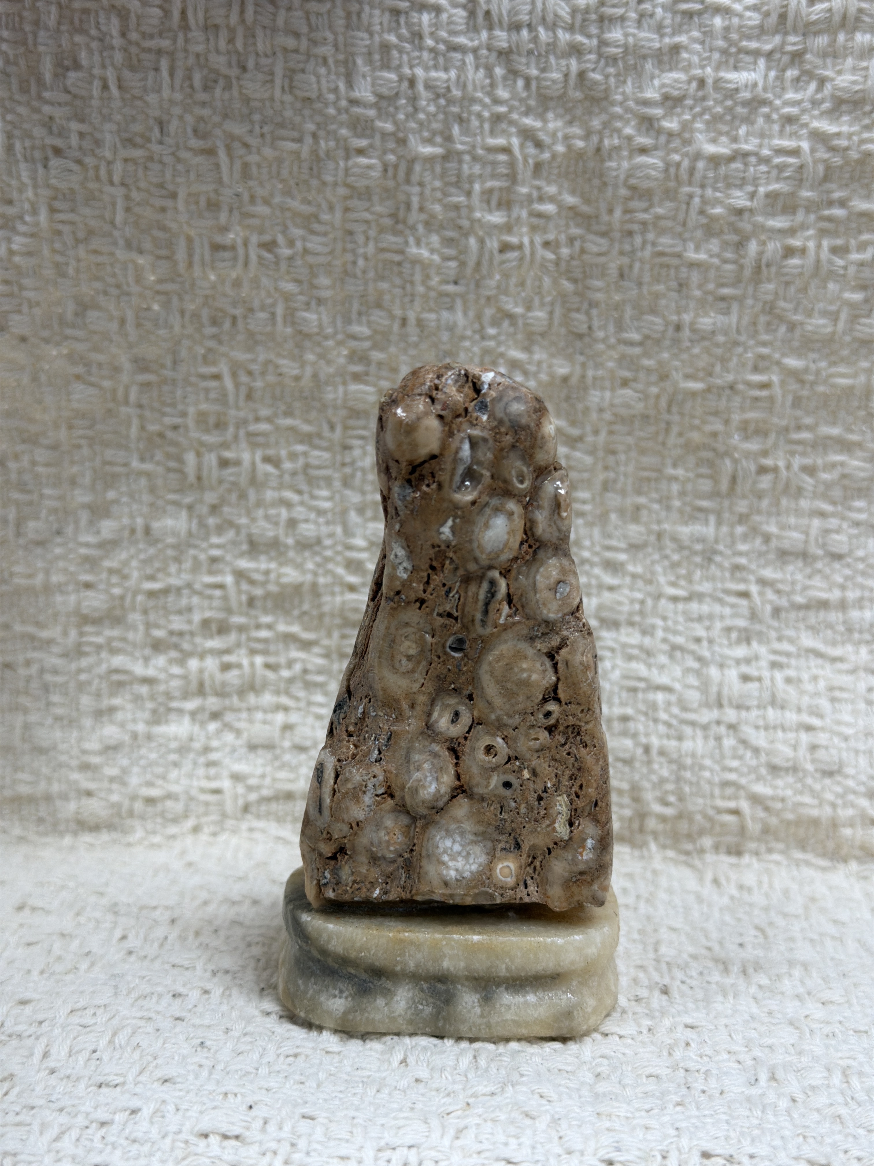 SS39 泰國尊者小立礦 約8CM