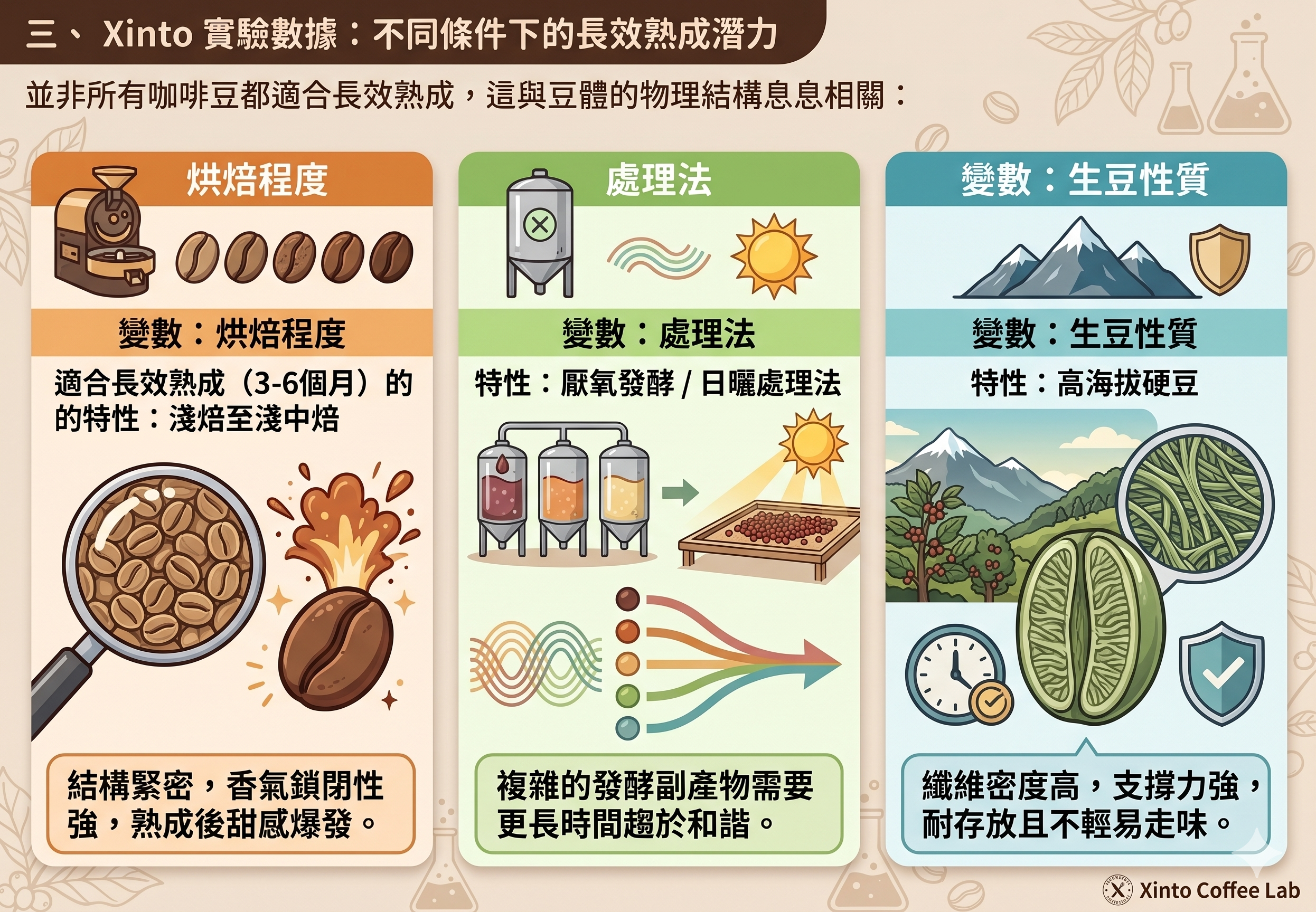 【Xinto咖啡實驗室】挑戰時間的風味邊界:長效熟成對咖啡甜感的影響