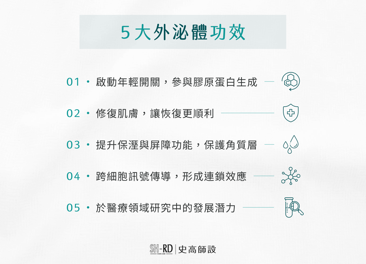 5 大外泌體功效