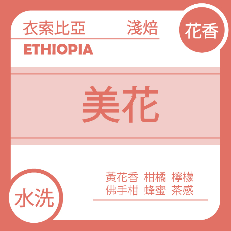 團A【衣索比亞 美花 水洗 G1】五月單品
