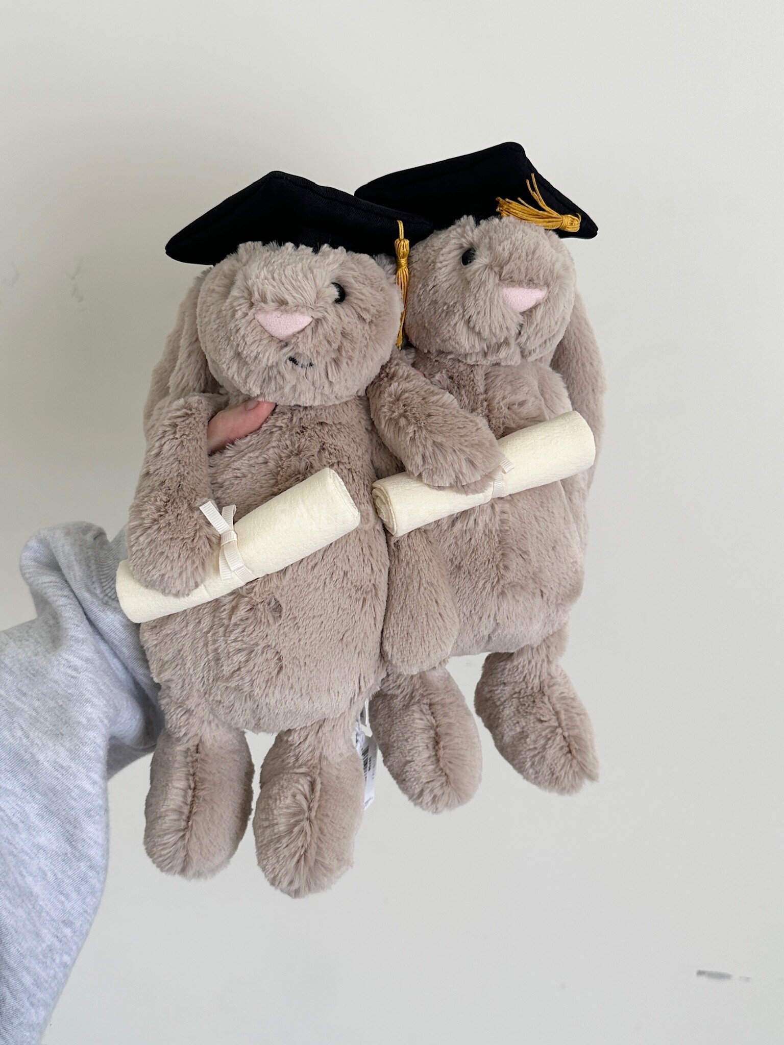 #現貨 Jellycat Bashful Bunny 畢業兔兔 絨毛娃娃