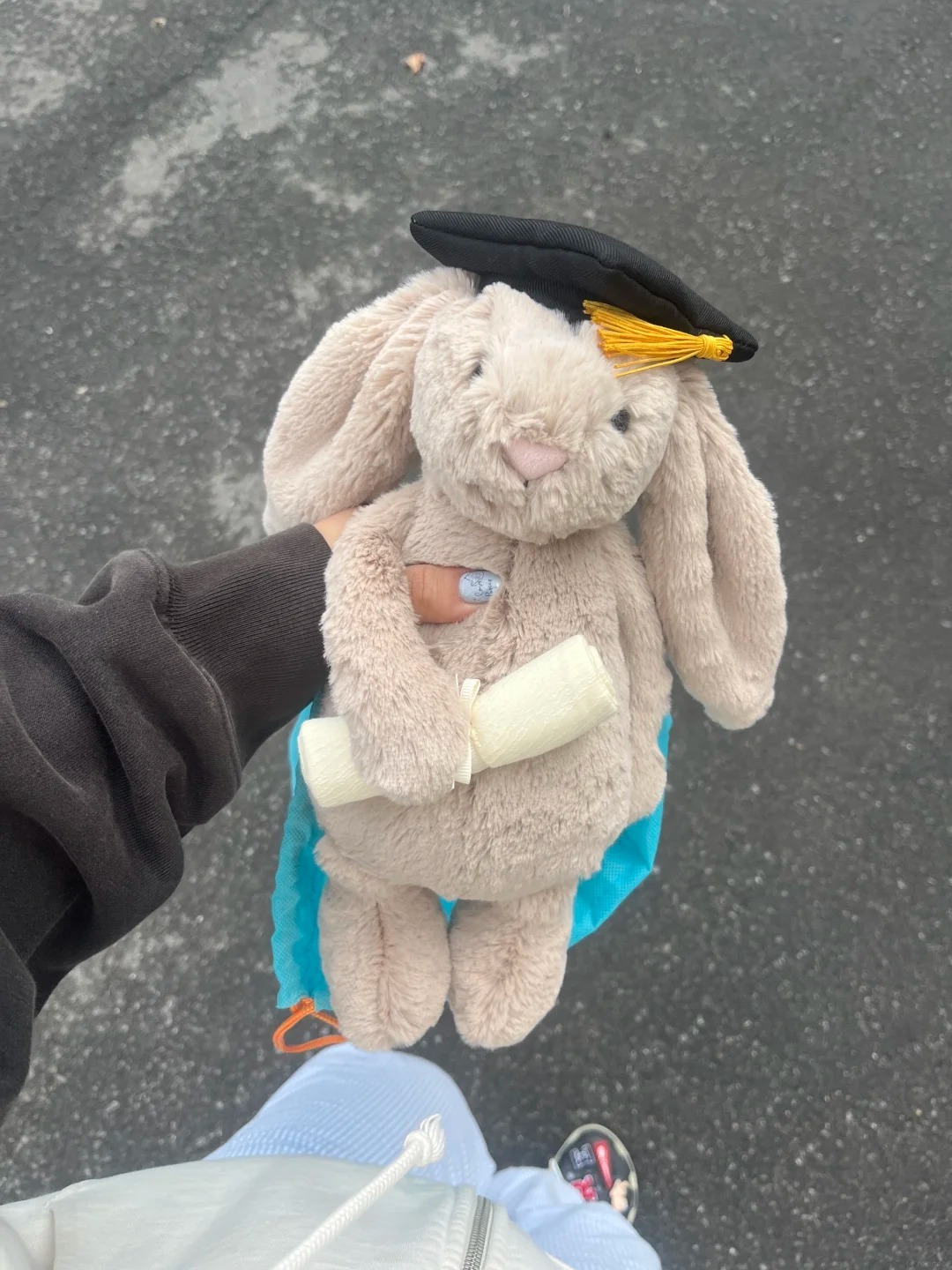 #現貨 Jellycat Bashful Bunny 畢業兔兔 絨毛娃娃