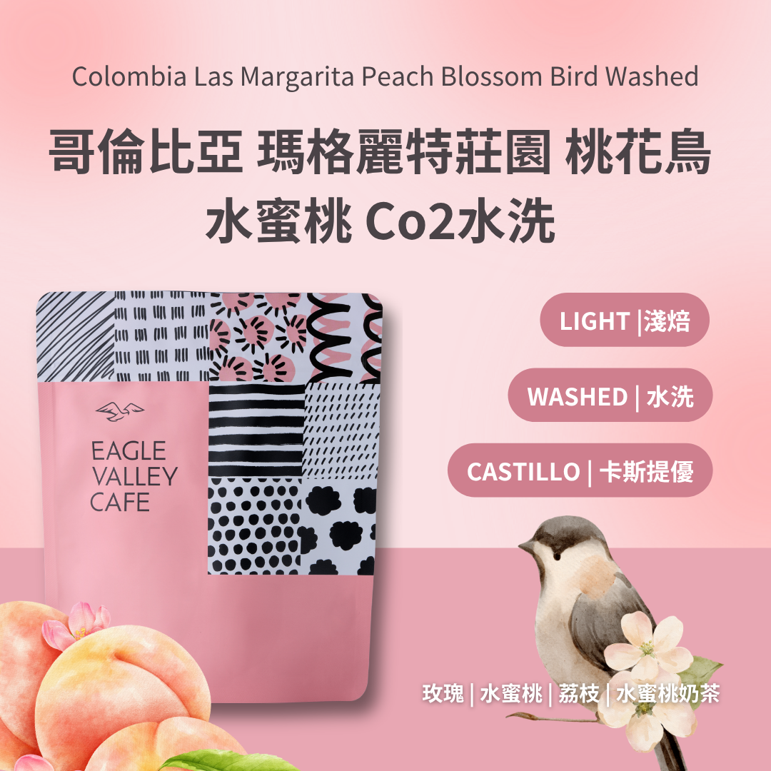 哥倫比亞 瑪格麗特莊莊園 桃花鳥 水蜜桃 Co2水洗 淺焙 咖啡豆