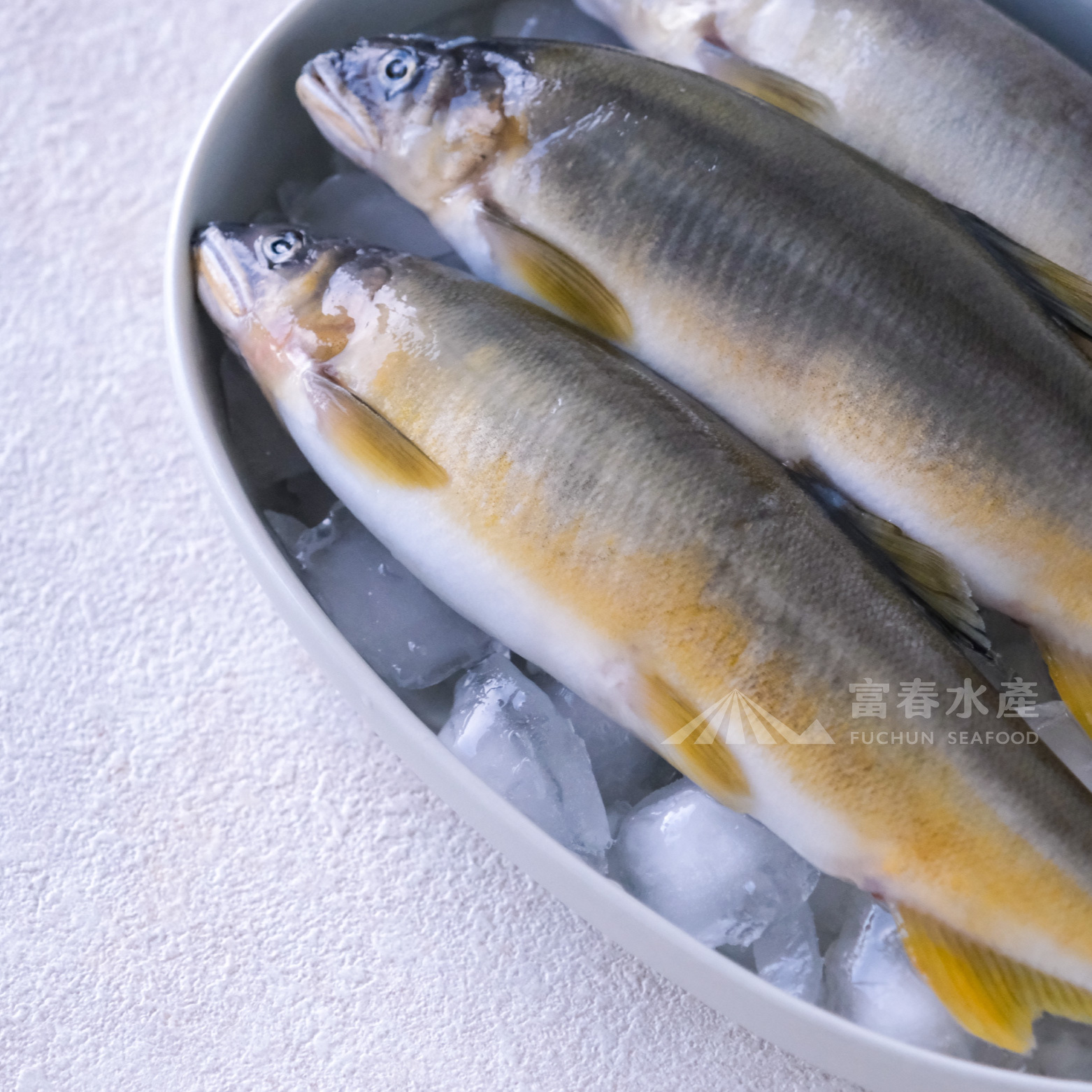【保證有蛋】宜蘭抱卵母香魚｜4-6尾盒裝