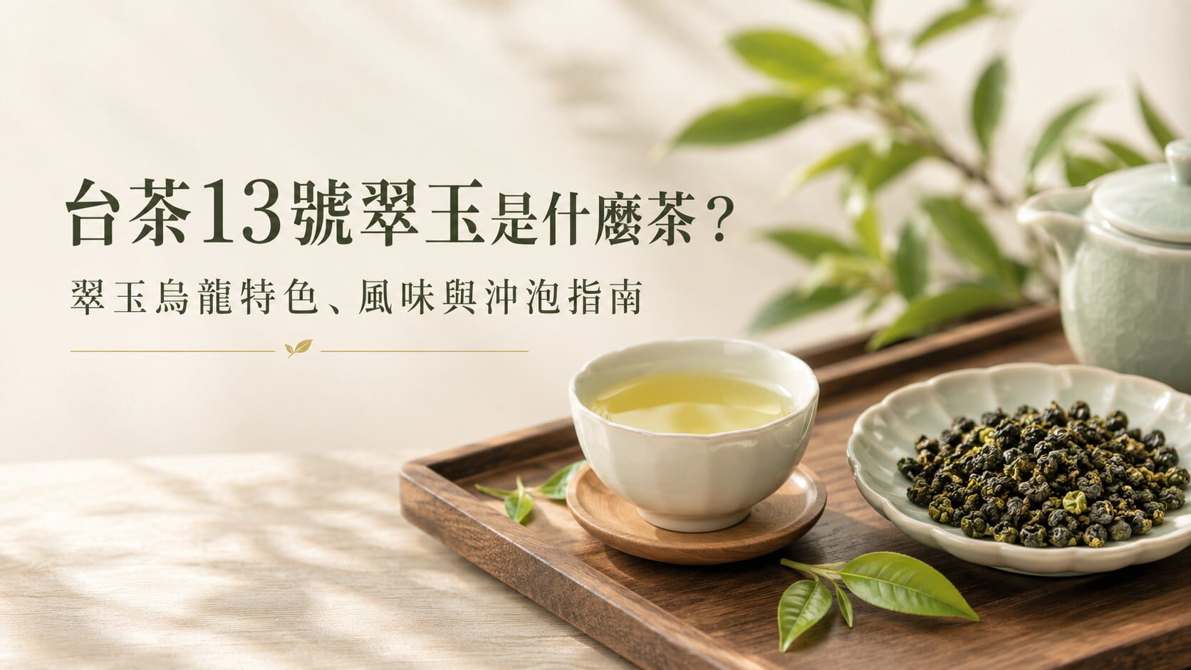 台茶13號翠玉是什麼茶？翠玉烏龍特色、風味與沖泡指南