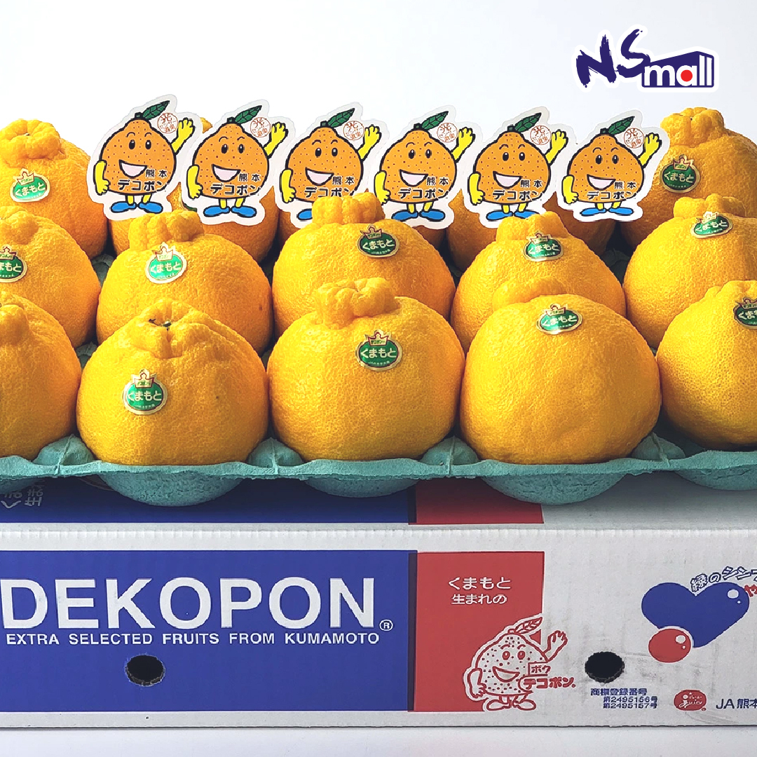 熊本 DEKOPON 不知火柑 5kg/箱