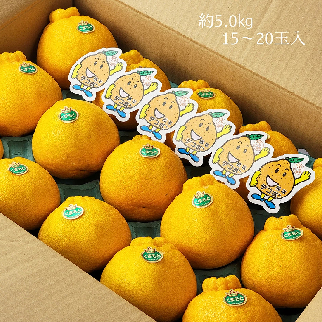 熊本 DEKOPON 不知火柑 5kg/箱