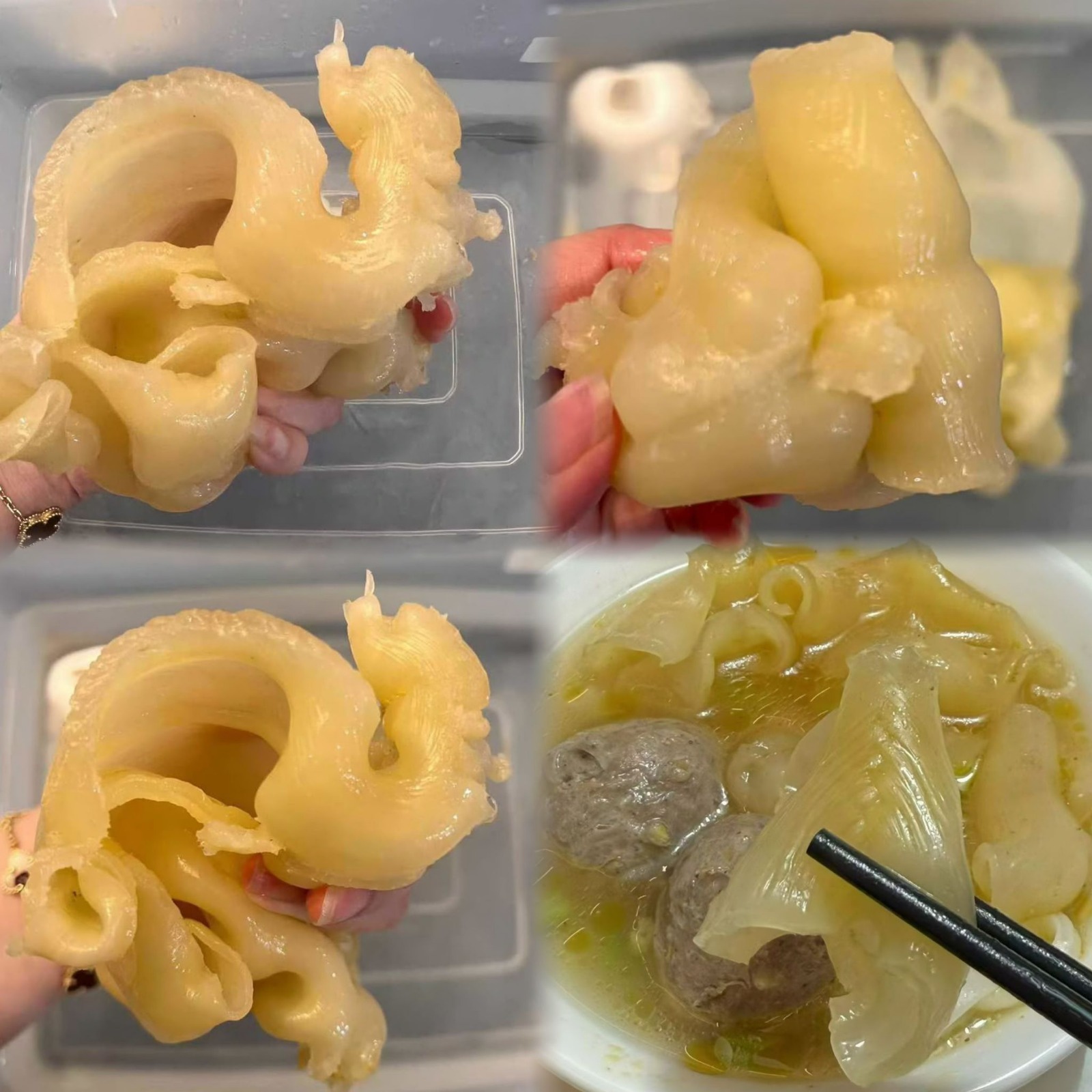 (7444) 澳洲蜘蛛膠片600g