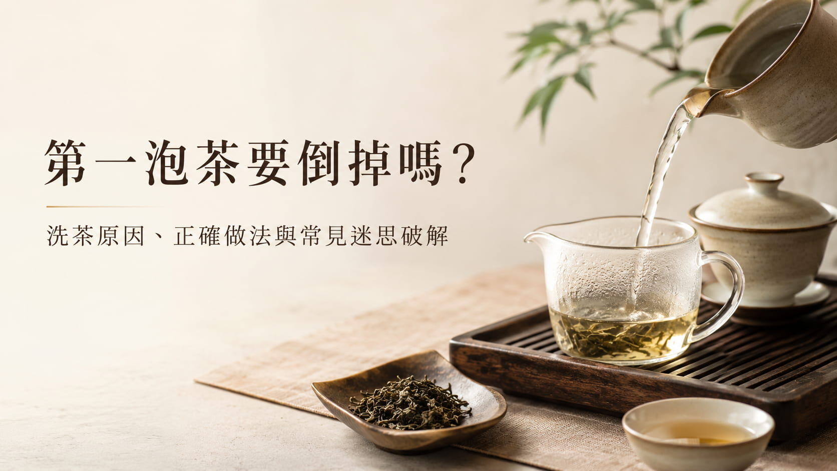 第一泡茶要倒掉嗎？洗茶原因、正確做法與常見迷思破解