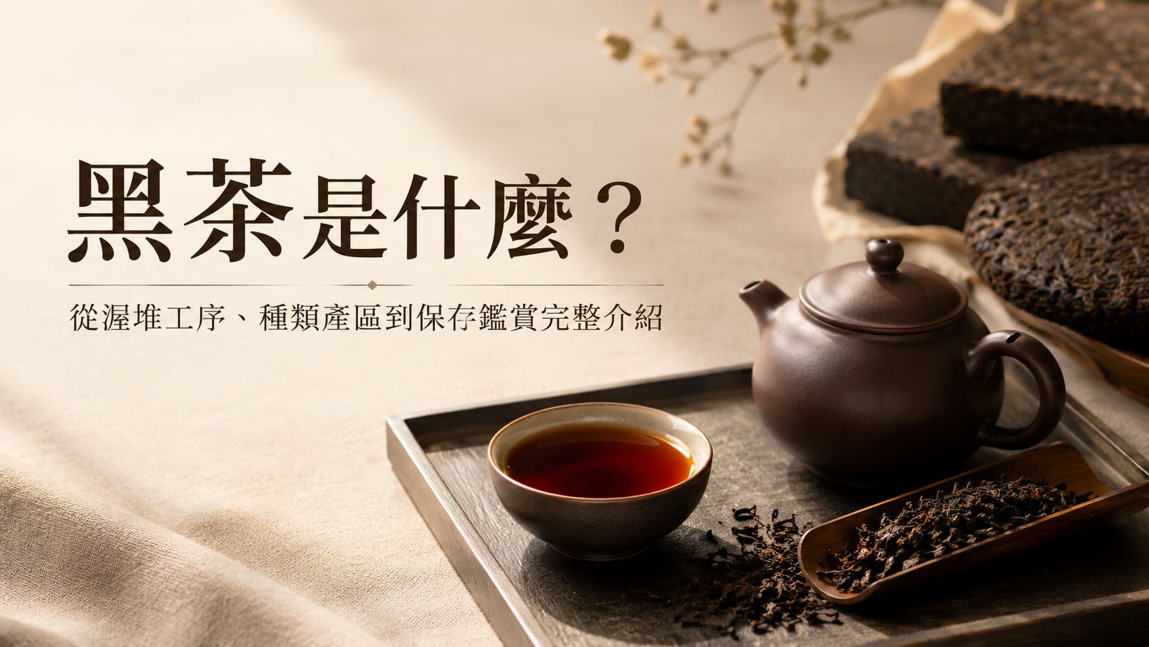 黑茶是什麼？從渥堆工序、種類產區到保存鑑賞完整介紹
