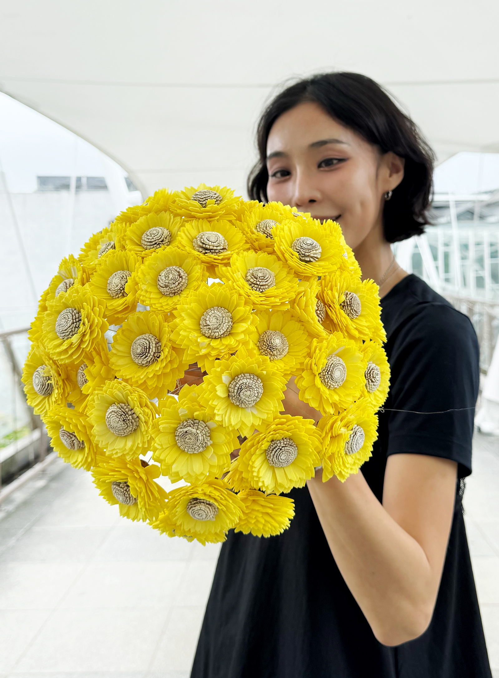 米芯向日葵索拉