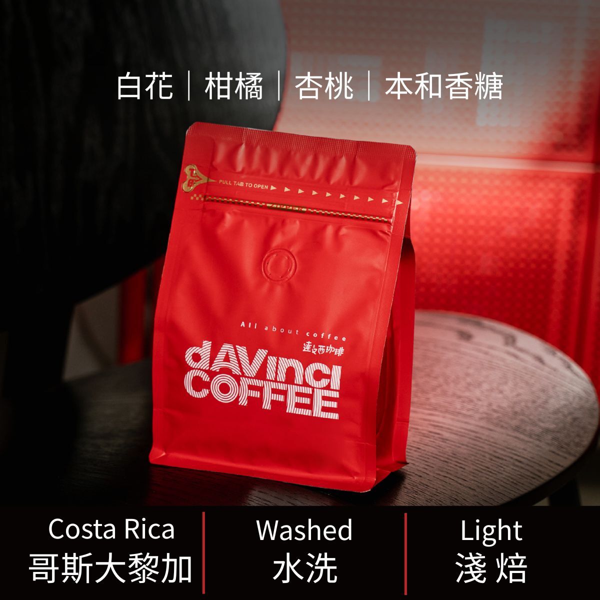 哥斯大黎加 奇里波美景莊園 藝伎 水洗 | 100g