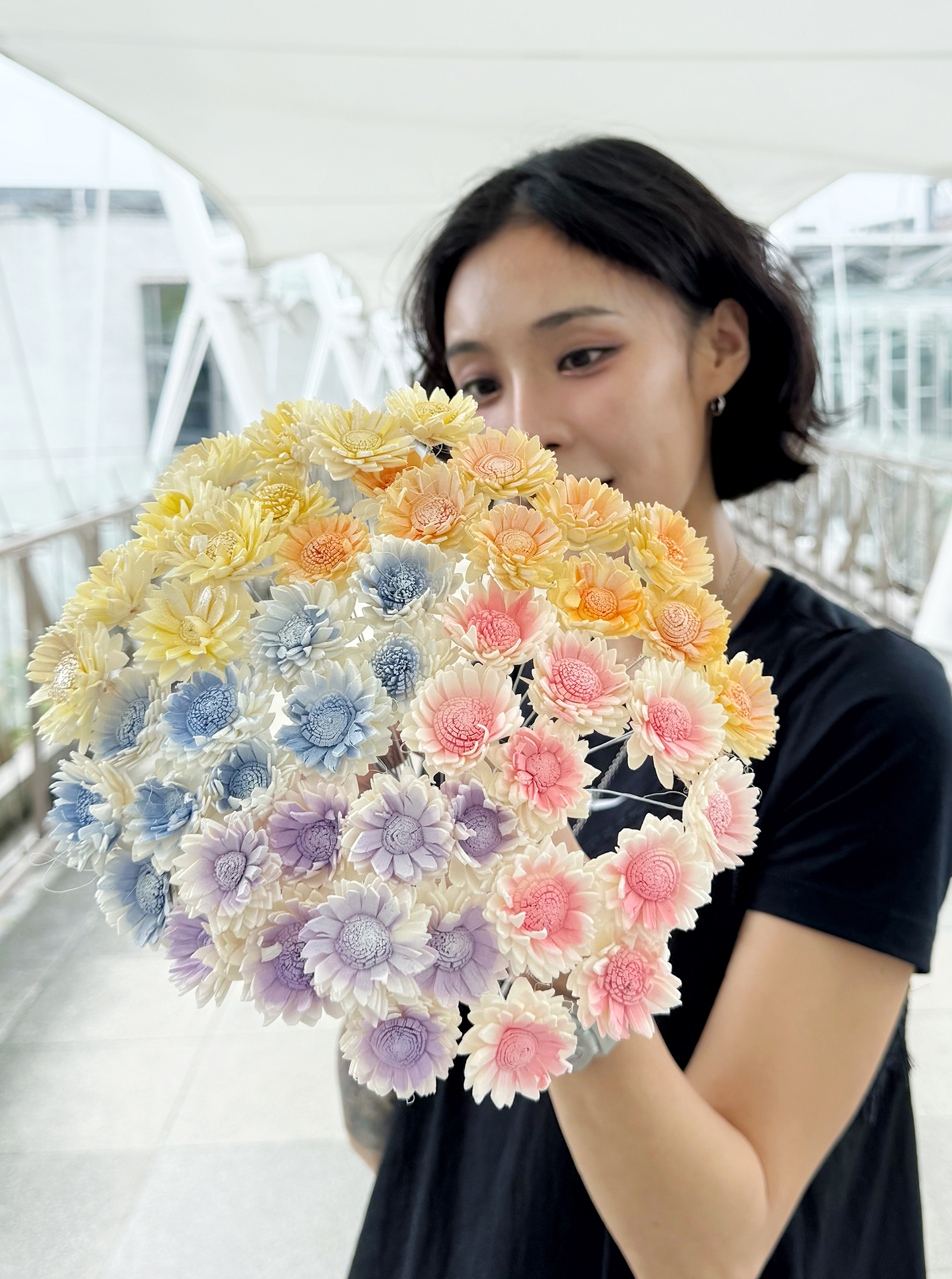 迷你太陽索拉