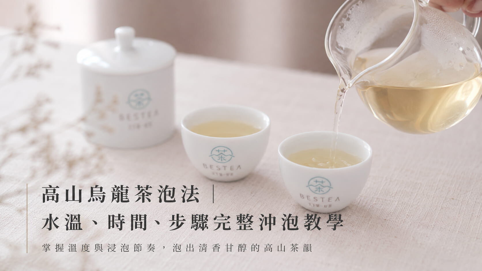 高山烏龍茶泡法｜水溫、時間、步驟完整沖泡教學