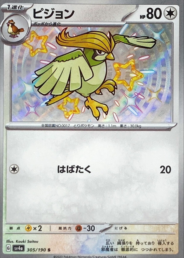 【Sv4a 305／190 S】ピジョン