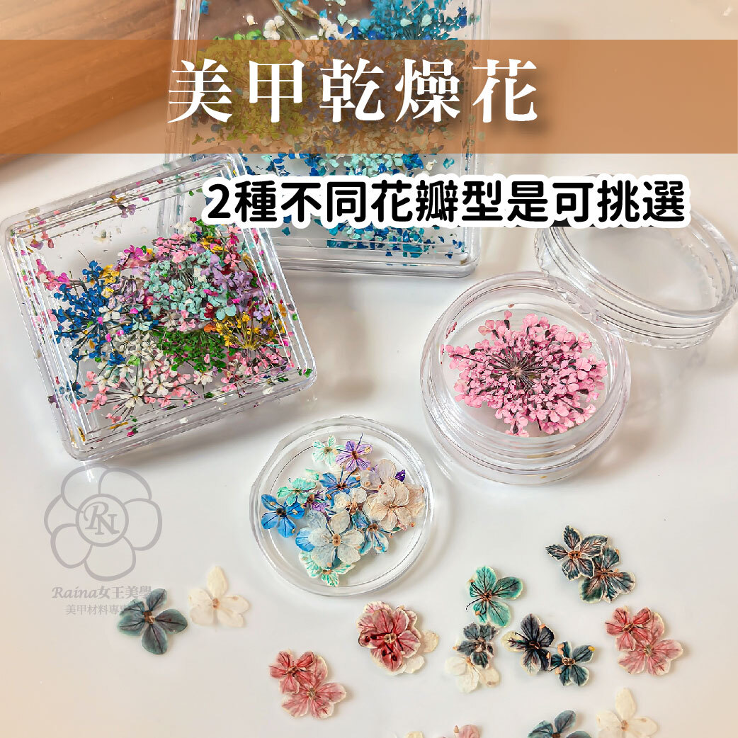 莫內乾燥花/乾花