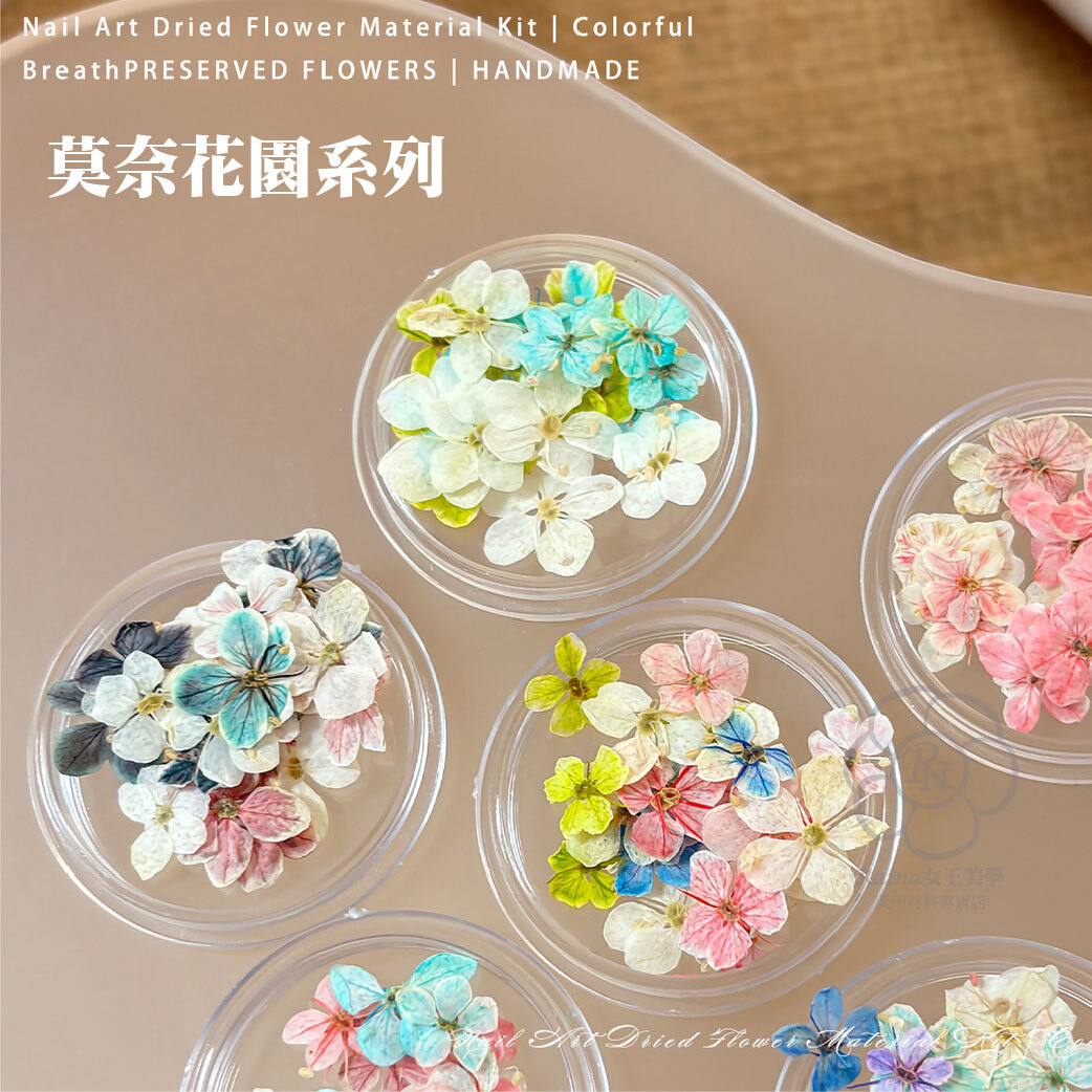 莫內乾燥花/乾花