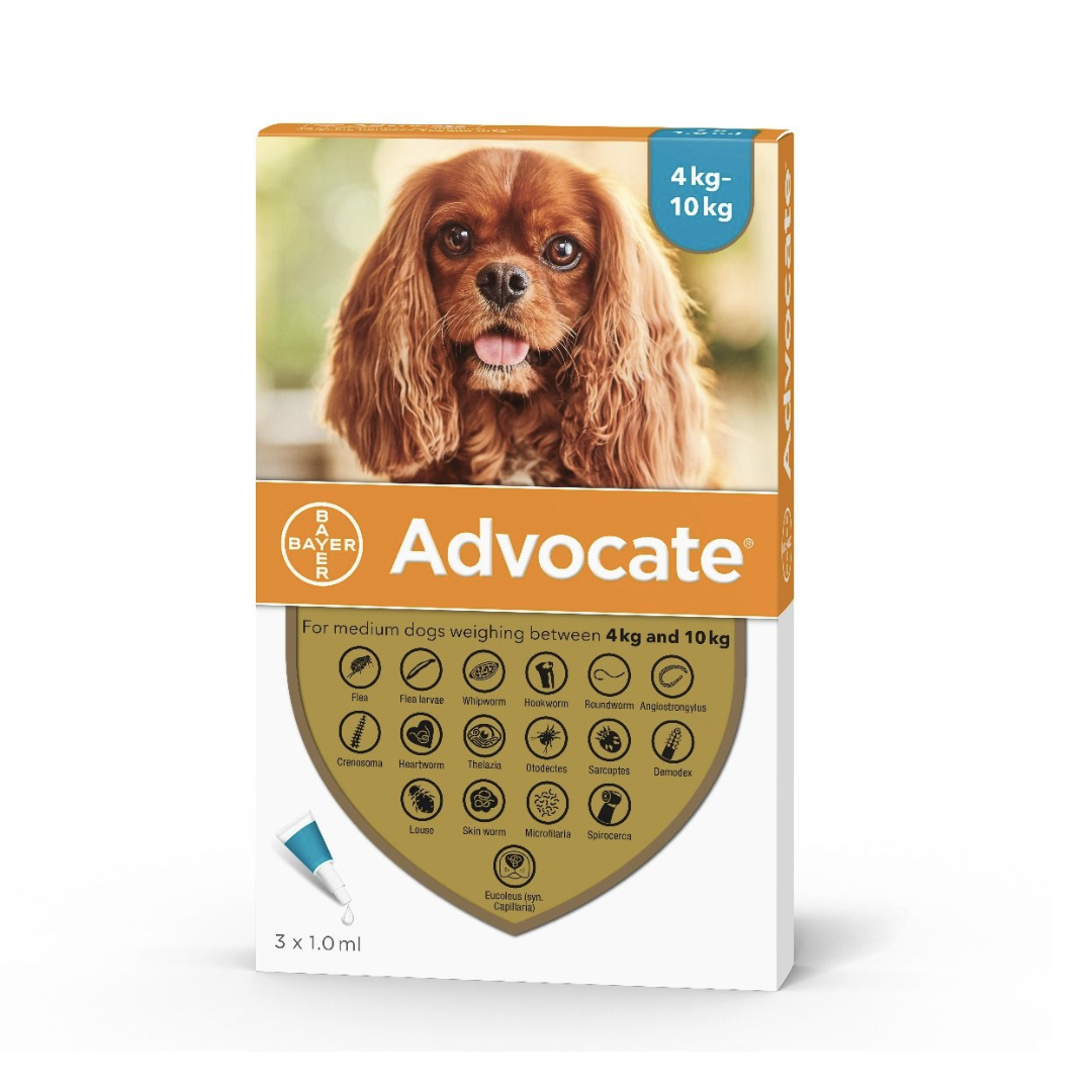 Advocate - 心疥爽犬用殺蚤滴劑 (4-10kg 小型犬)
