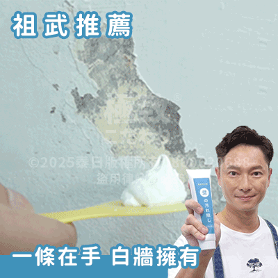 《台灣製造》防水防霉牆面修補膏 (台灣直寄港澳)