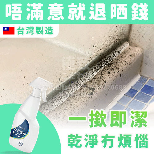 《台灣製造》霉問題 泡沫去霉劑  (今天出隔日到)