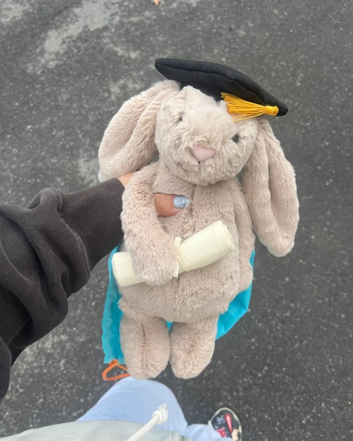預購！Jellycat 畢業季限定邦尼兔