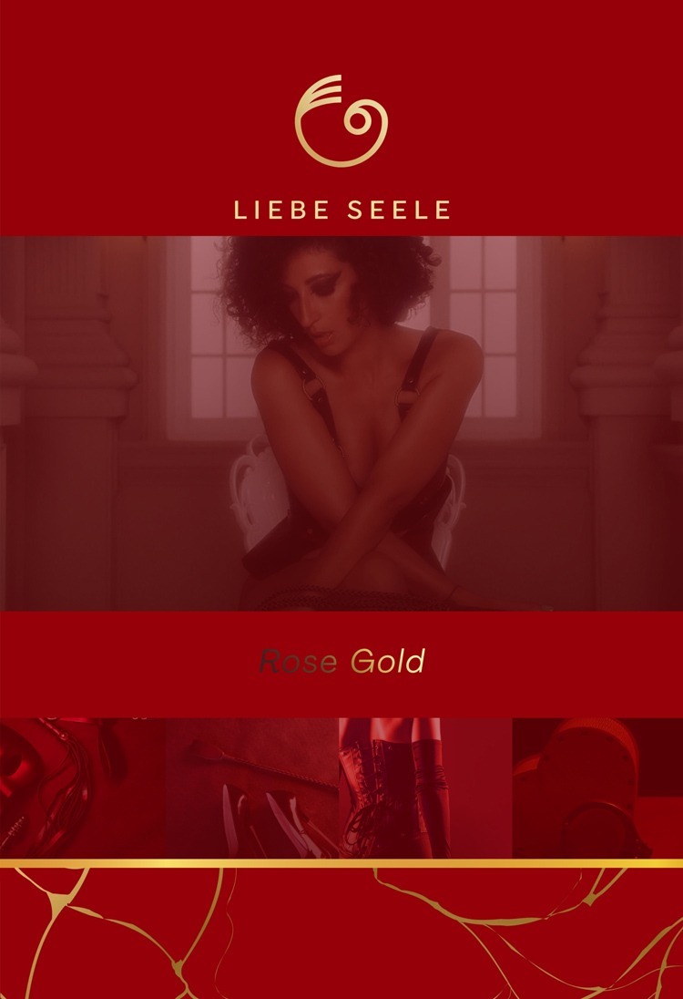 Liebe Seele Rose Gold 玫瑰金粹 真皮頸圈及牽引練組 高級sm 日本sm用品