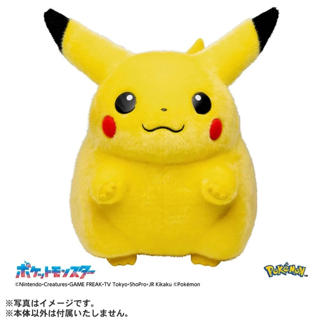 Takara Tomy 寶可夢毛公仔－30週年 回歸比卡超 1/1 亞洲版