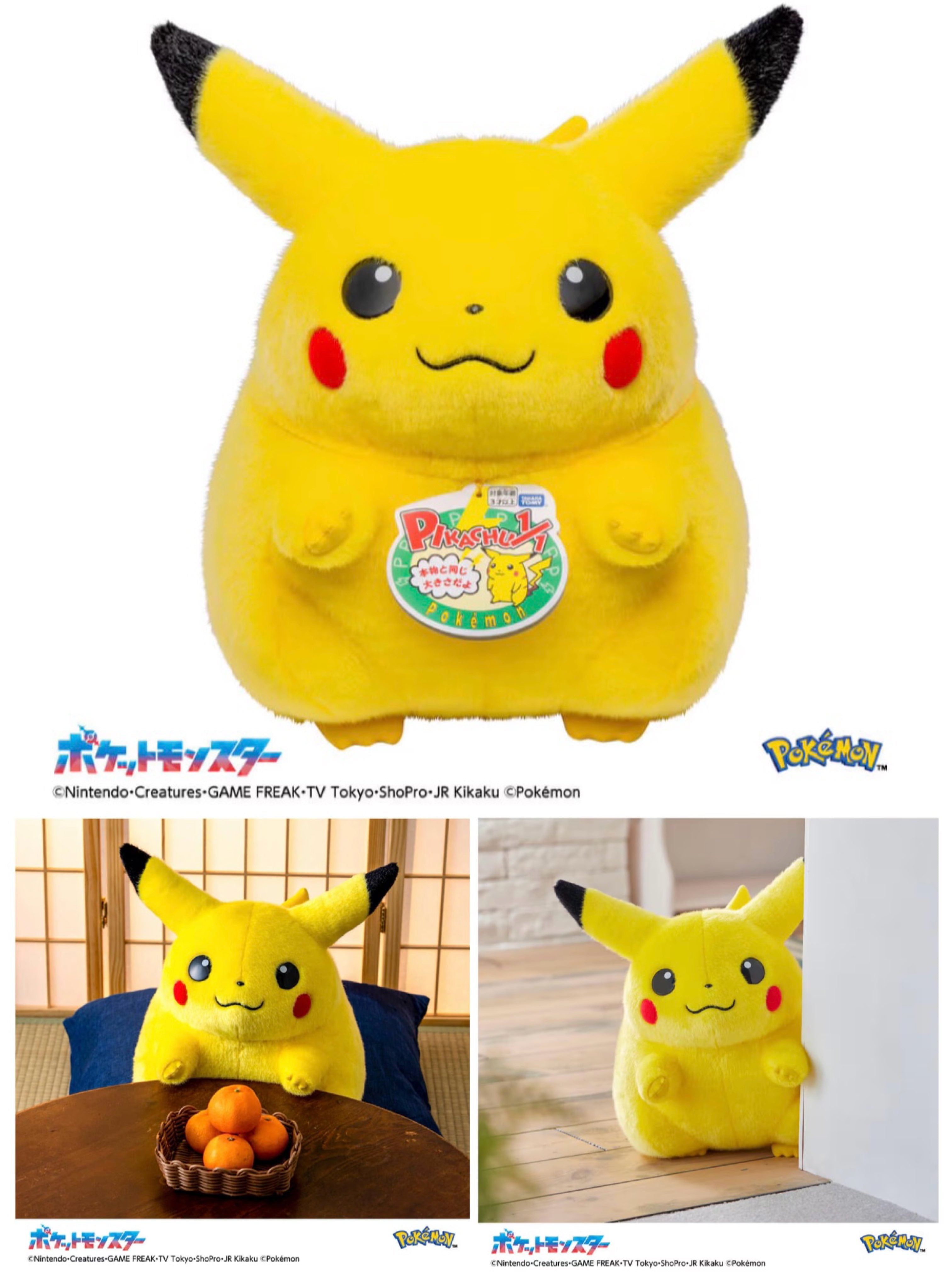 Takara Tomy 寶可夢毛公仔－30週年 回歸比卡超 1/1 亞洲版