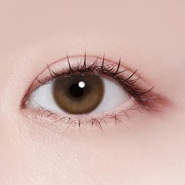 [日拋] DAVICHLENS Moon Ring 1 Day Brown｜日拋彩妝隱形眼鏡｜每盒30片
