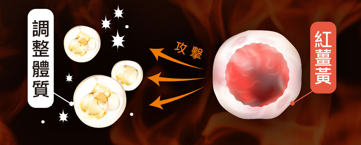 飽足感No.1-含膳食纖維-瘦身-嚴萃保健-28