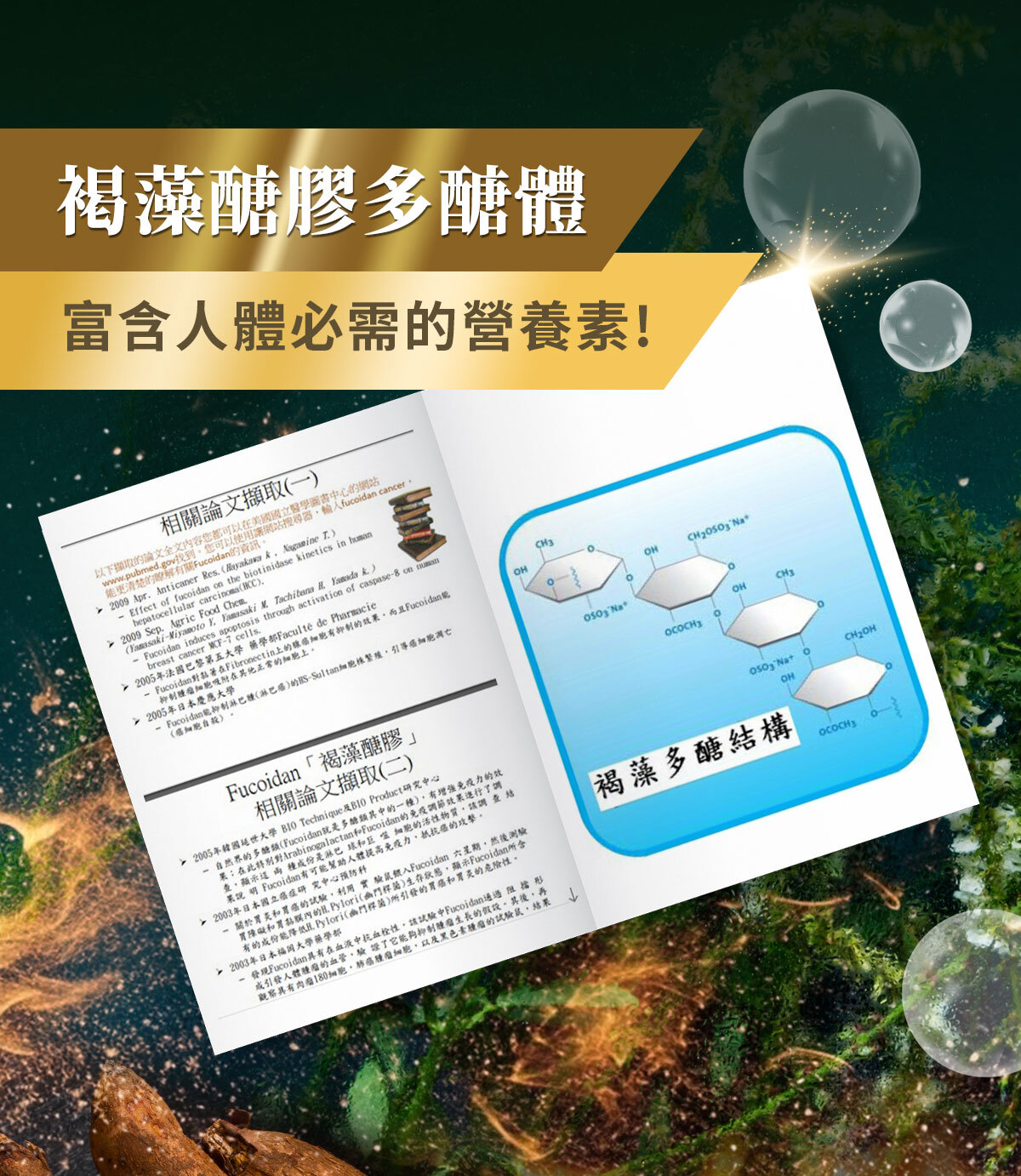飽足感No.1-含膳食纖維-瘦身-嚴萃保健-32