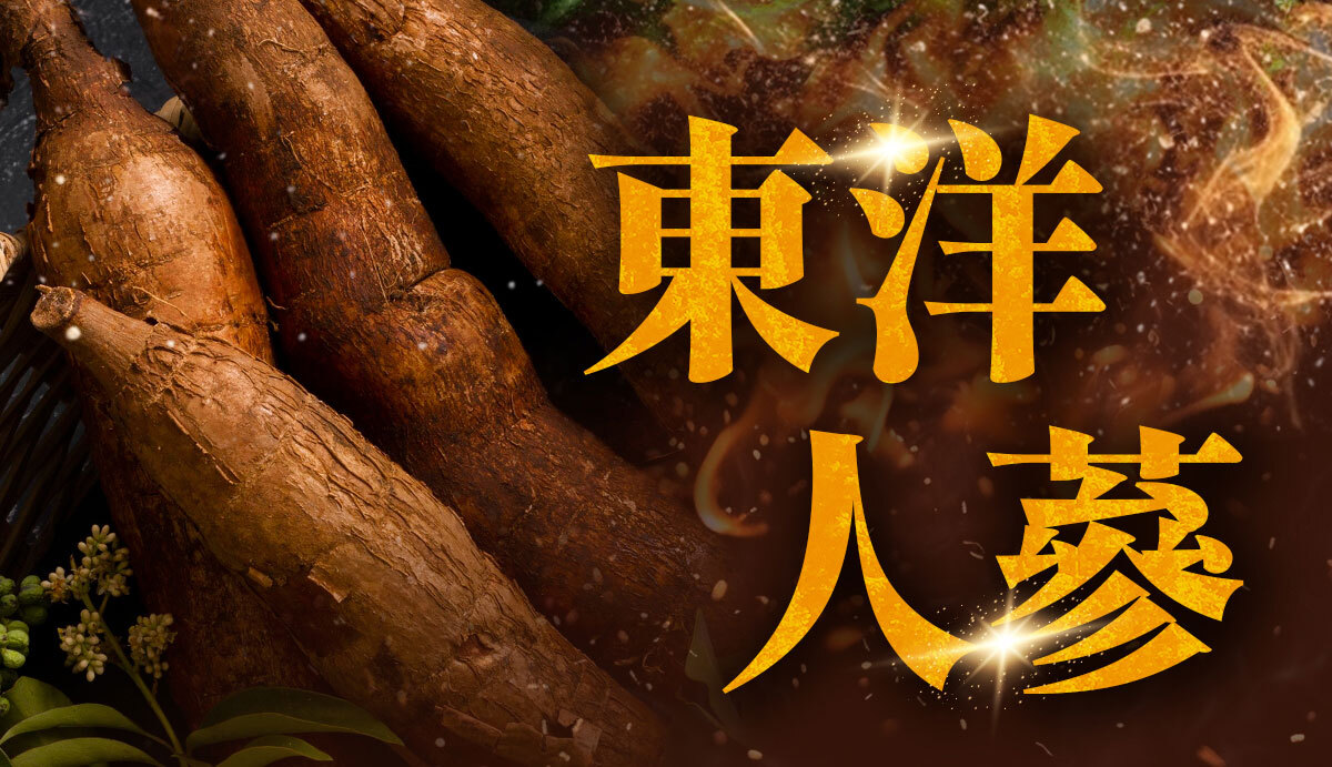 飽足感No.1-含膳食纖維-瘦身-嚴萃保健-33